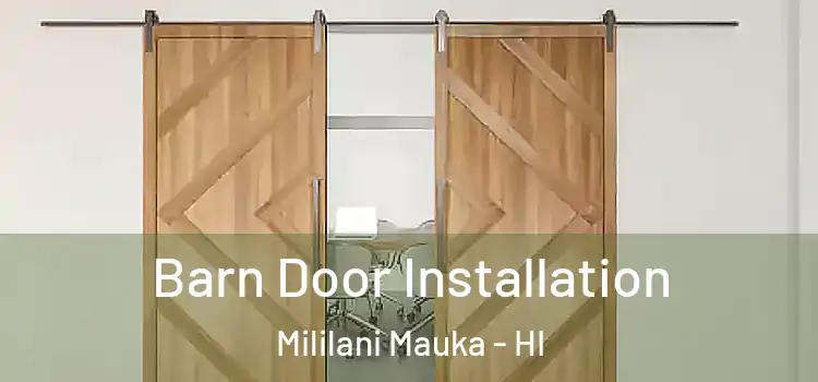 Barn Door Installation Mililani Mauka - HI