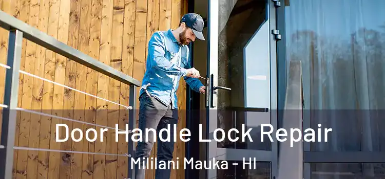 Door Handle Lock Repair Mililani Mauka - HI