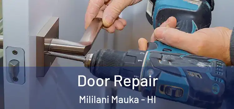  Door Repair Mililani Mauka - HI