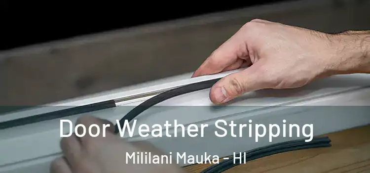 Door Weather Stripping Mililani Mauka - HI