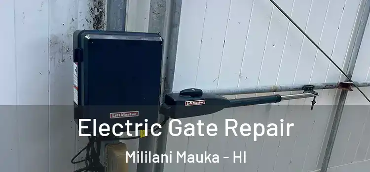 Electric Gate Repair Mililani Mauka - HI