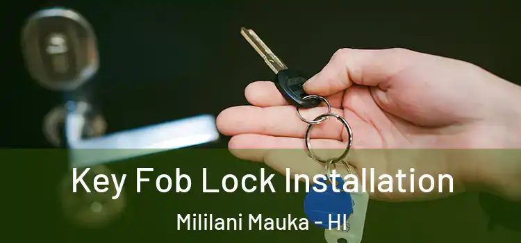 Key Fob Lock Installation Mililani Mauka - HI