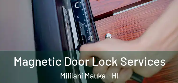 Magnetic Door Lock Services Mililani Mauka - HI